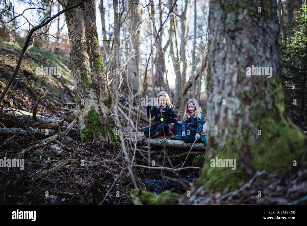 Girls sitting in the forest hi-res stock photography and images - Alamy