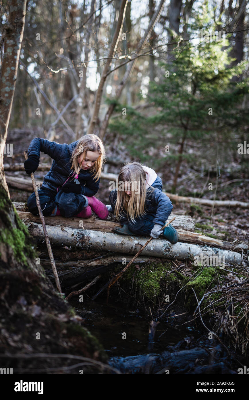 Girls sitting in the forest hi-res stock photography and images - Alamy