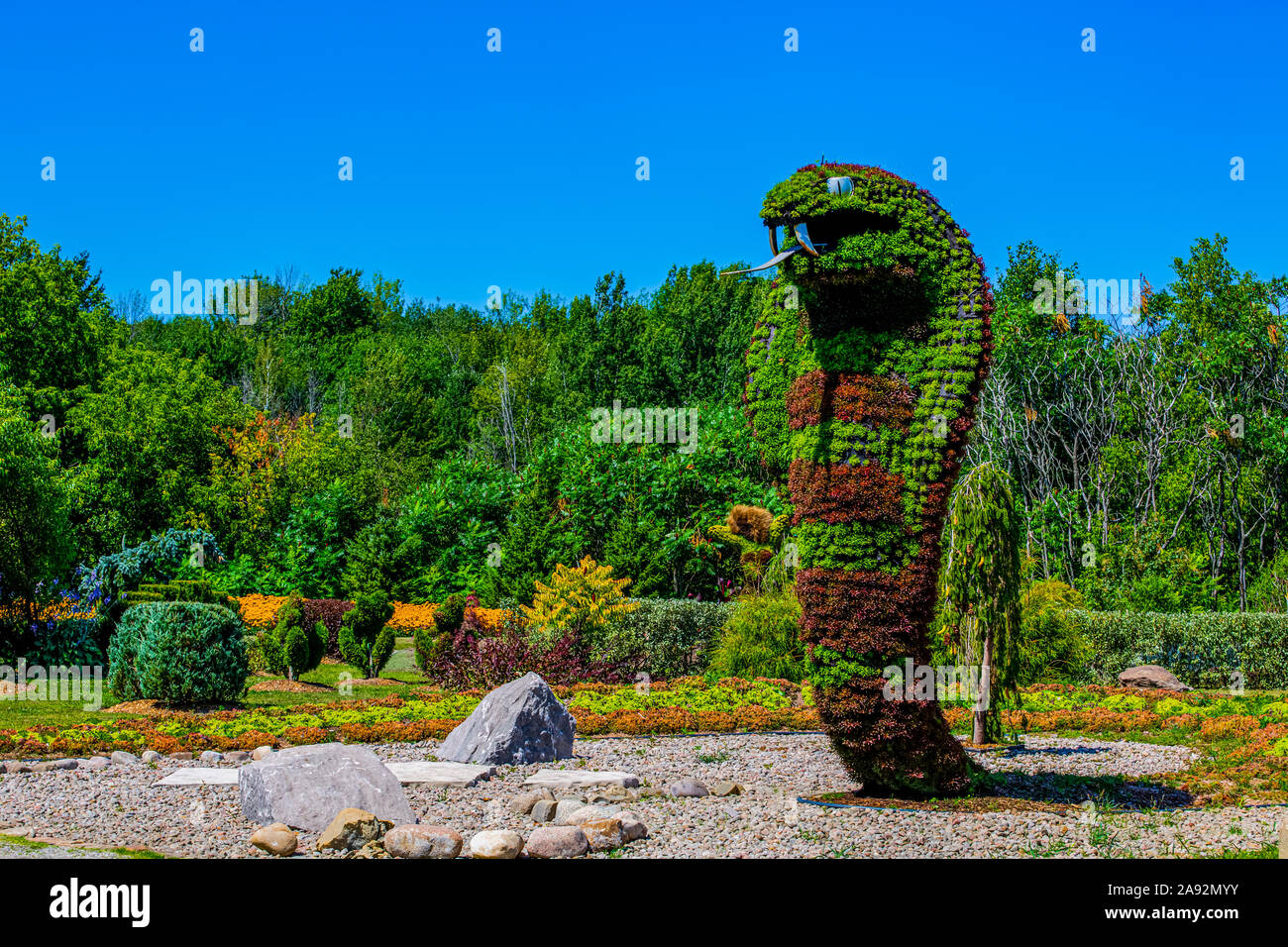 Plants with purple and green foliage created in the shape of a cobra; St Lazare, Quebec, Canada Stock Photo