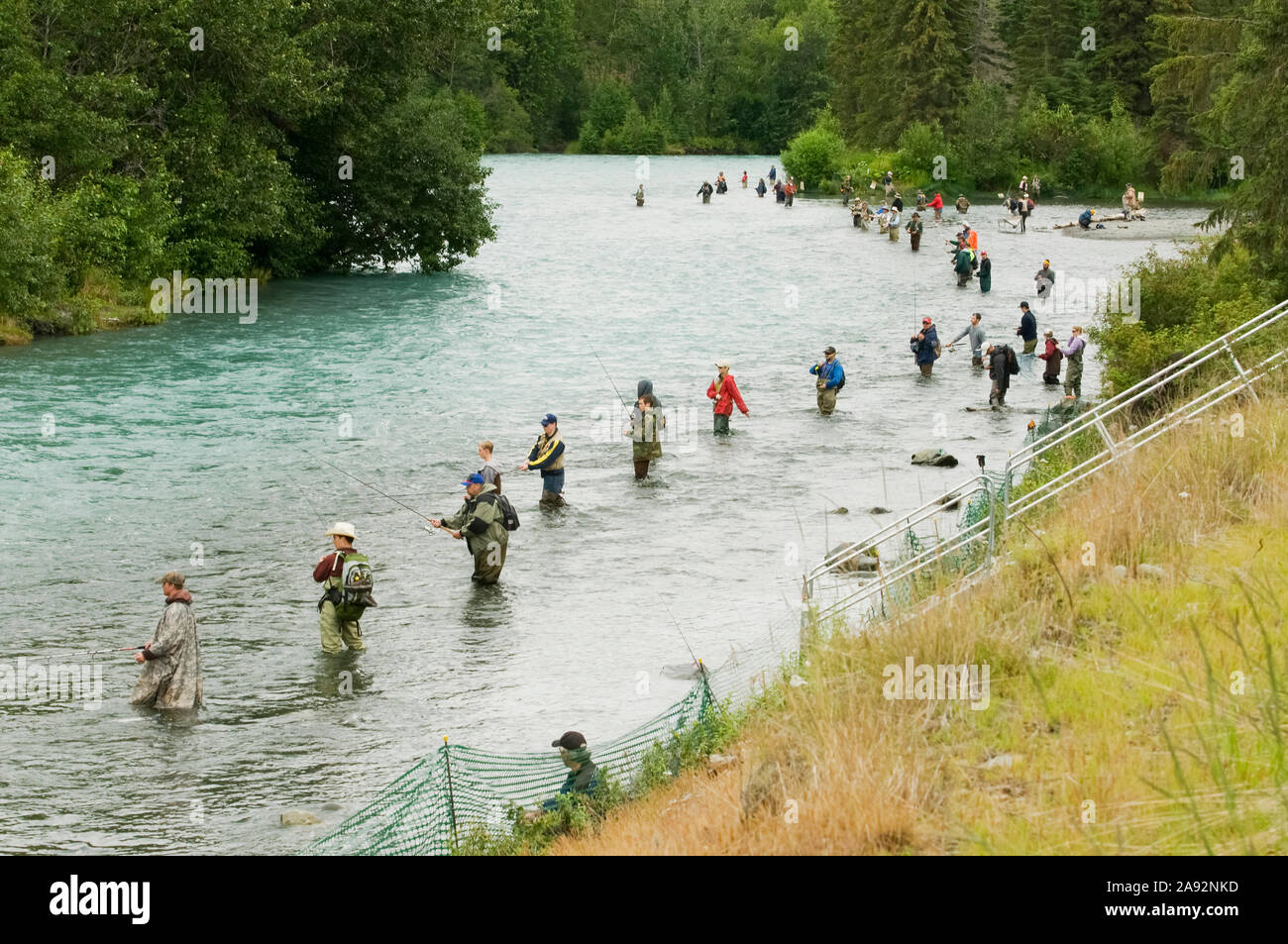 Combat Fishing On The Russian/Kenai River During The Sockeye Salmon Run