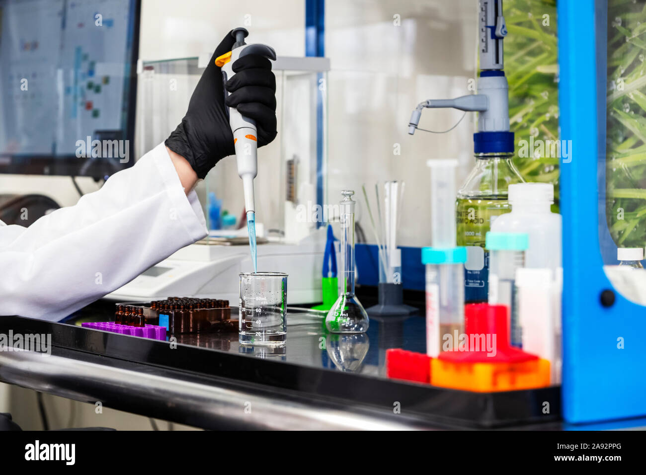 Laboratory testing of cannabis; Cave Junction, Oregon, United States of America Stock Photo Alamy