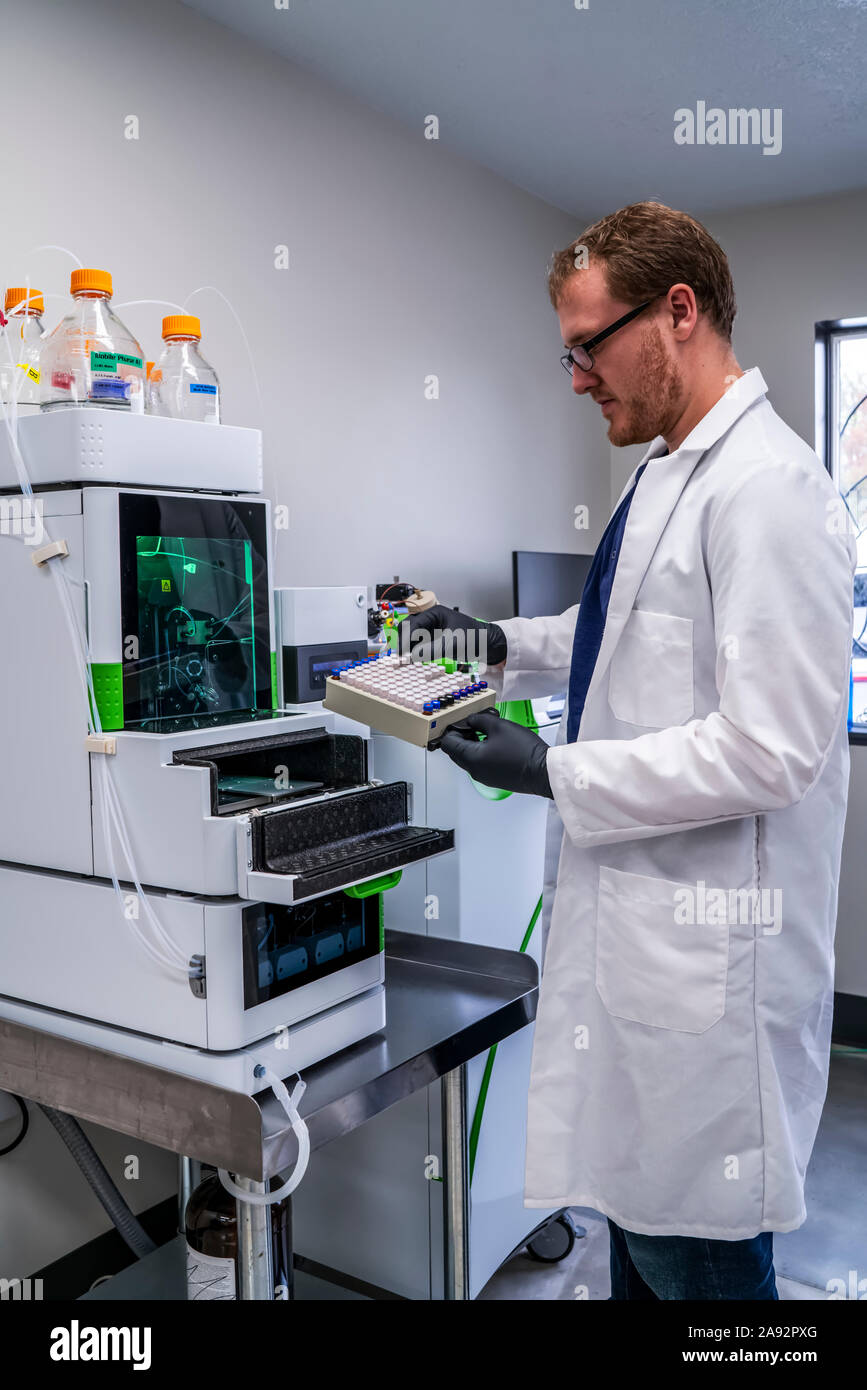 Laboratory testing of cannabis; Cave Junction, Oregon, United States of America Stock Photo Alamy