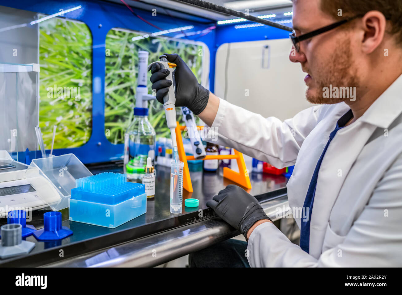 Laboratory testing of cannabis; Cave Junction, Oregon, United States of America Stock Photo Alamy
