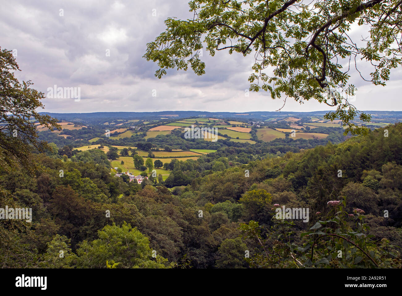 The stunning scenery of Dartmoor and South Devon, viewed from Buzzard’s View in Canonteign, Devon. Stock Photo