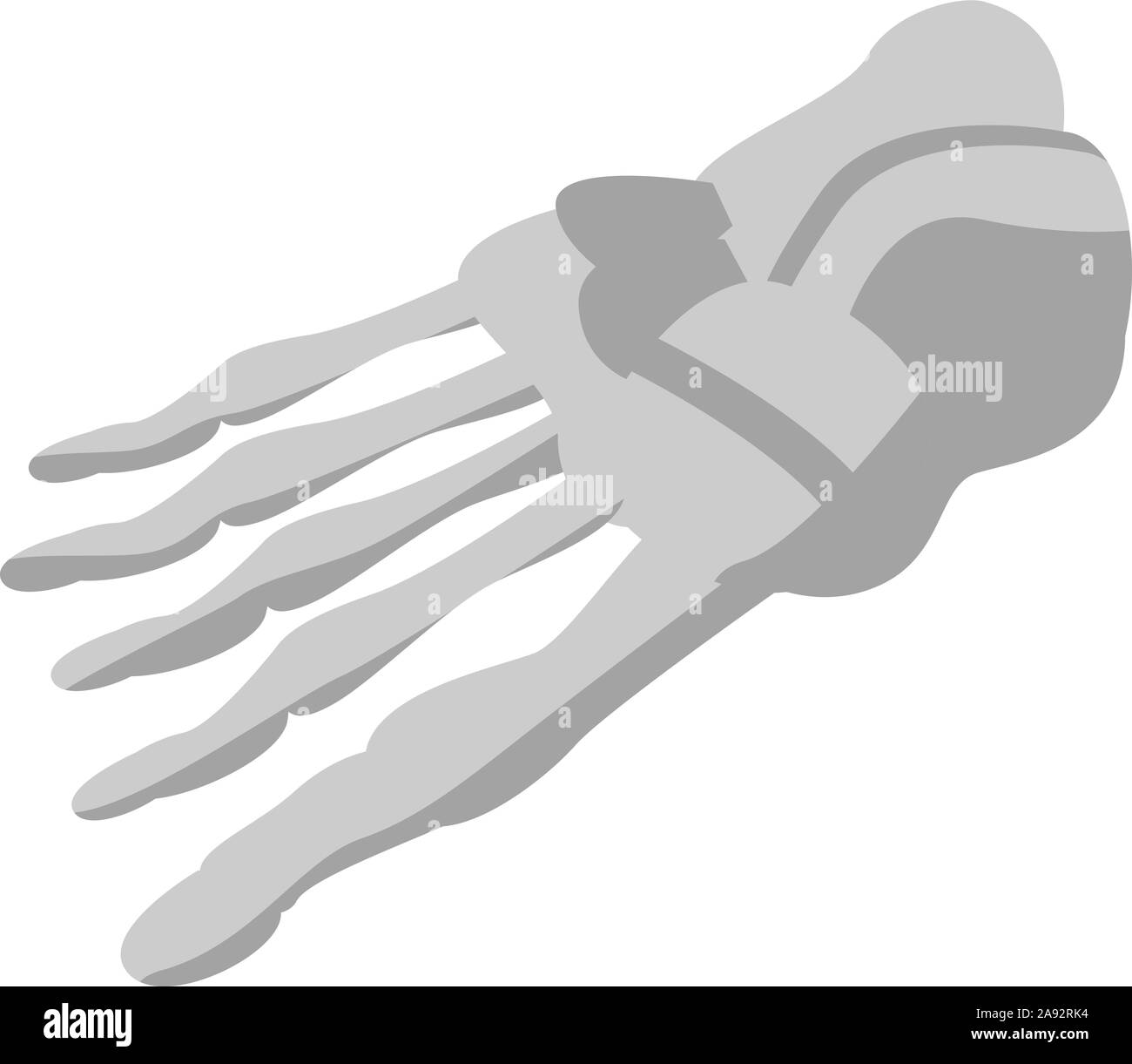 Foot skeleton icon, isometric style Stock Vector