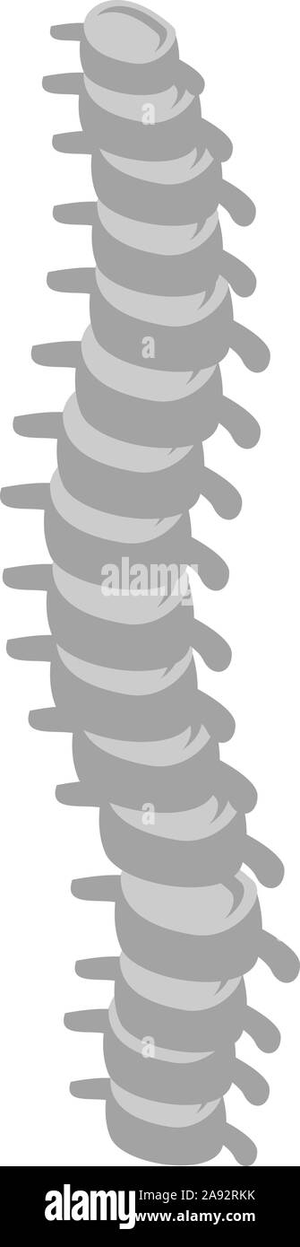 Human spine icon, isometric style Stock Vector Image & Art - Alamy