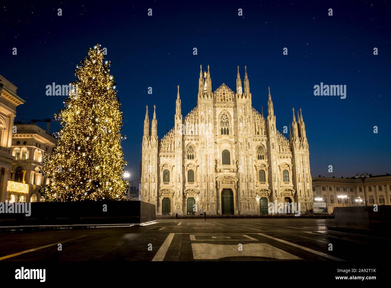 Milan (Italy) in winter: Christmas tree in front of Milan cathedral, Duomo square in december, night view. Stock Photo