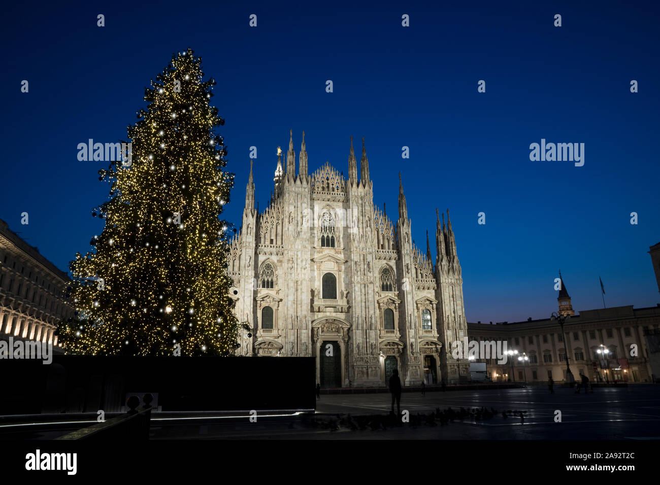 Milan (Italy) in winter: Christmas tree in front of Milan cathedral, Duomo square in december, night view. Stock Photo