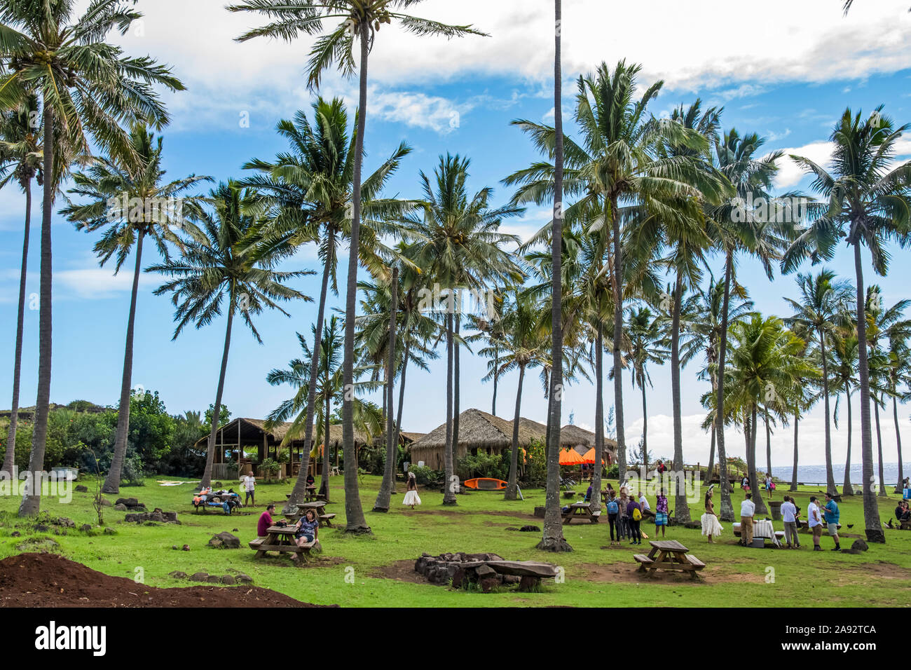 Large grassy park under palm trees with people at picnic tables; Easter Island, Chile Stock Photo
