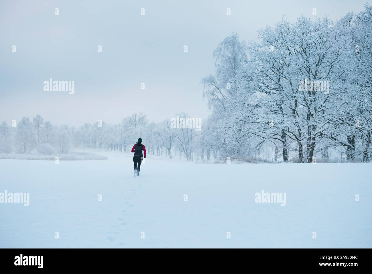 Woman jogging at winter Stock Photo