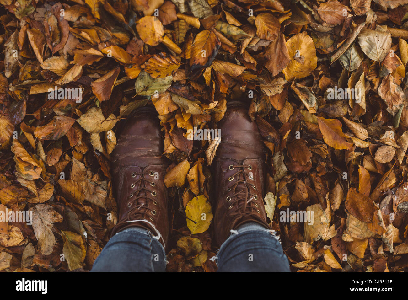 Person standing on autumn leaves Stock Photo