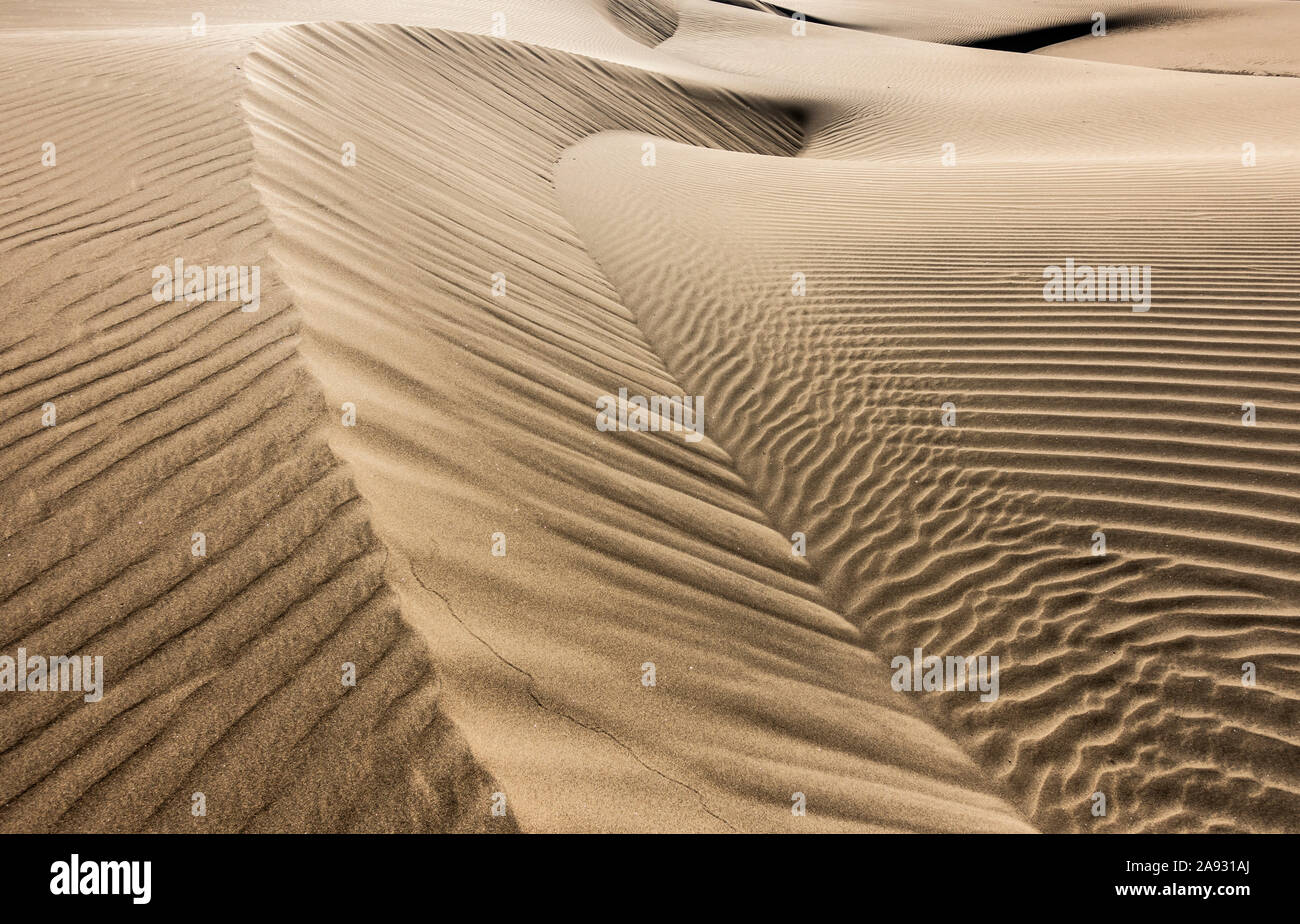 Las  Dunas sand dunes, Maspalomas, Gran Canaria, Canary Islands, Spain Stock Photo