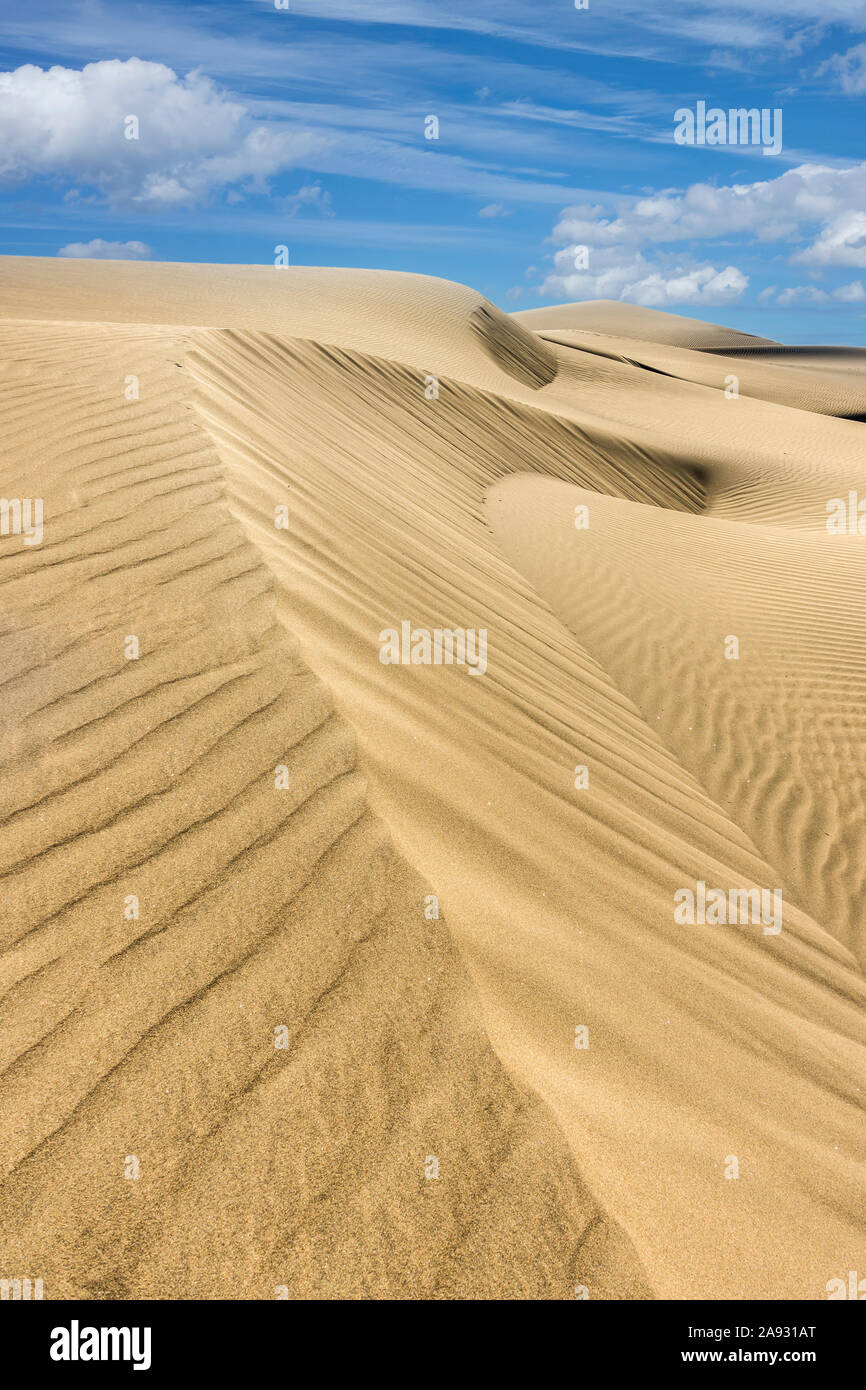 Las  Dunas sand dunes, Maspalomas, Gran Canaria, Canary Islands, Spain Stock Photo