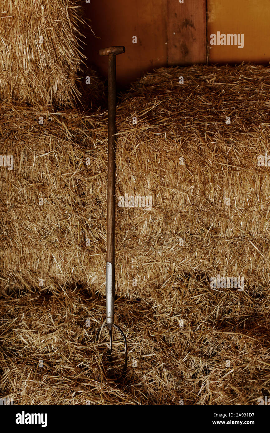 Pitchfork hires stock photography and images Alamy