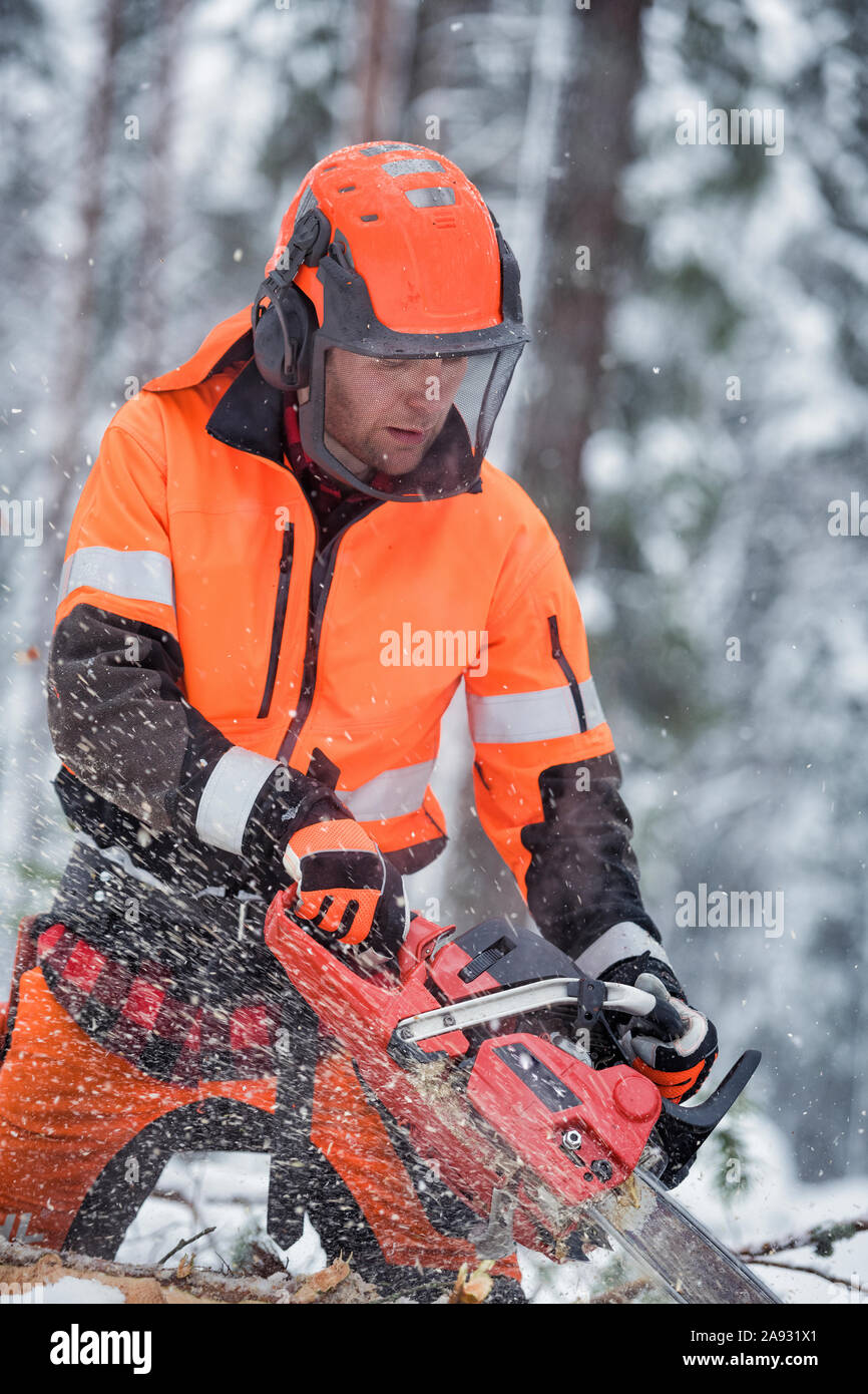 Lumberjack at work Stock Photo Alamy