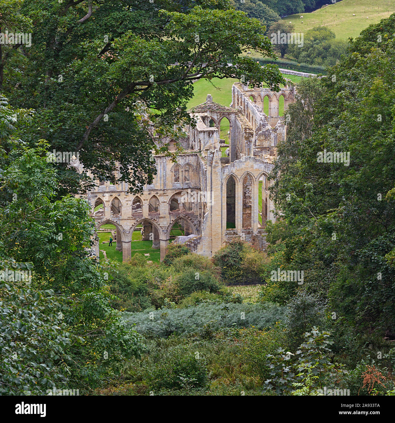 Rievaulx Abbey ruins viewed from Rievaulx Terrace, Ryedale, North Yorkshire Moors, UK Stock Photo