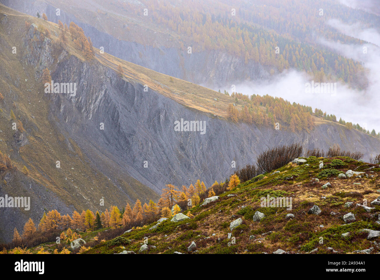 The colors of autumn in the mountains. Alps, Italy Stock Photo