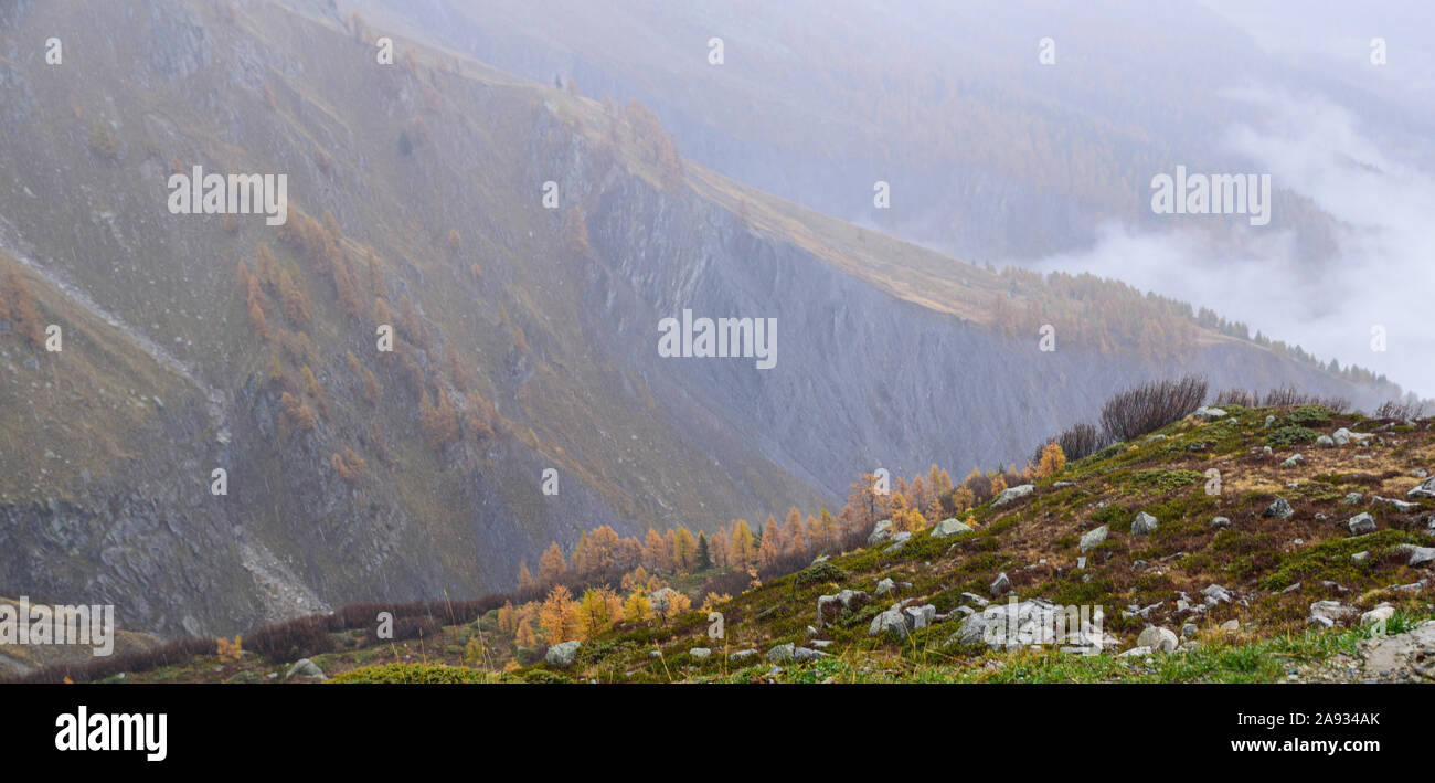The colors of autumn in the mountains. Alps, Italy Stock Photo
