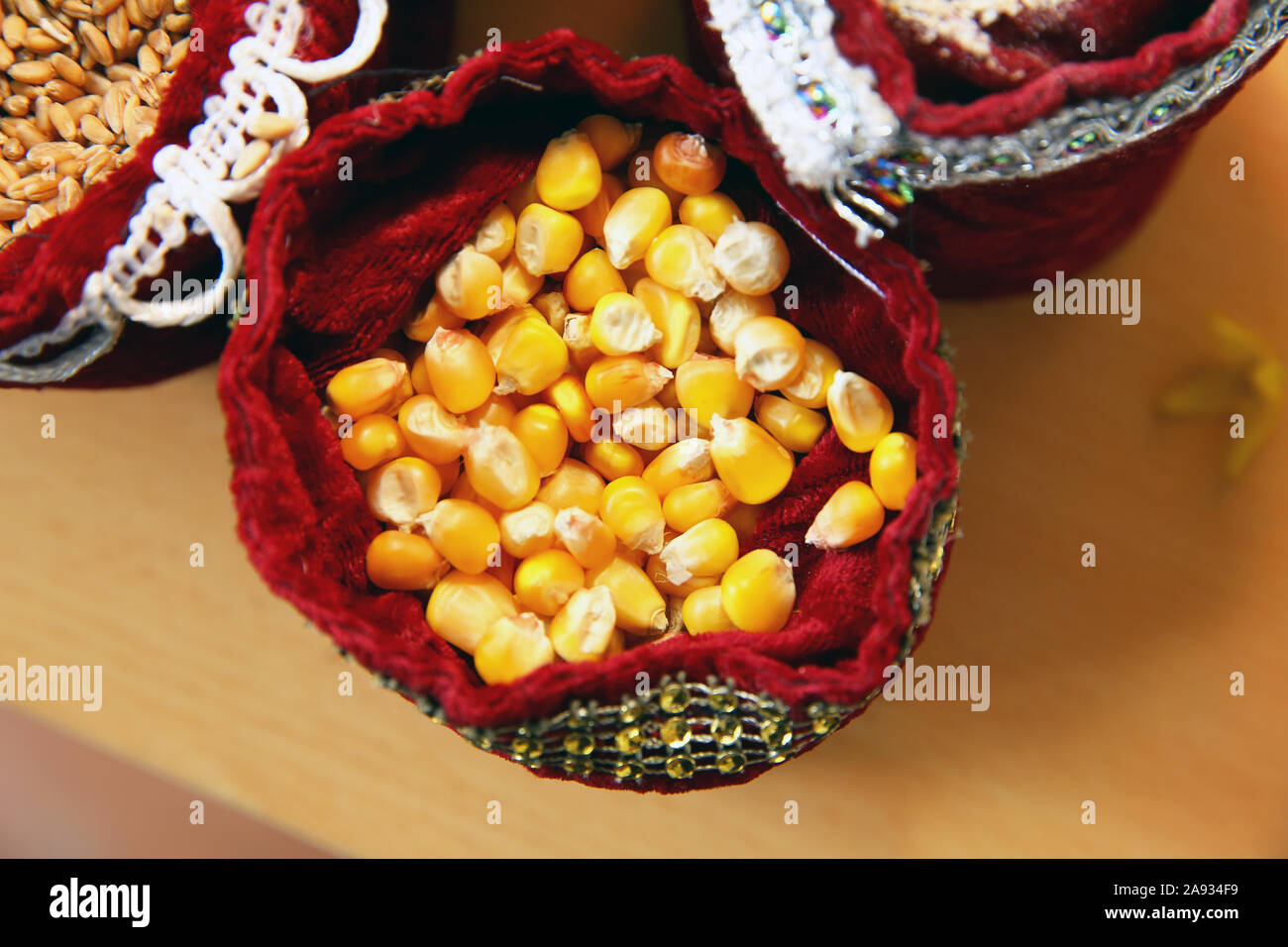 corn seeds . Corn seeds in burlap . Close up dry corn kernels in hemp