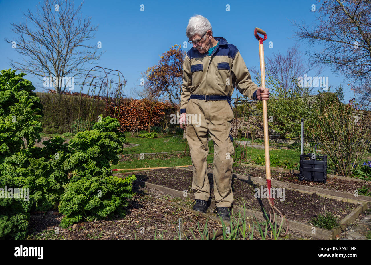 Man gardening Stock Photo