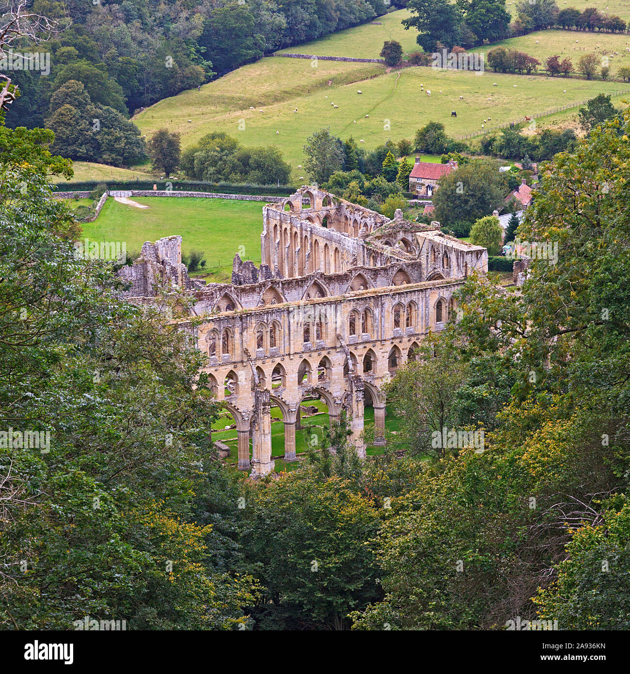 Rievaulx Abbey ruins viewed from Rievaulx Terrace, Ryedale, North Yorkshire Moors, UK Stock Photo