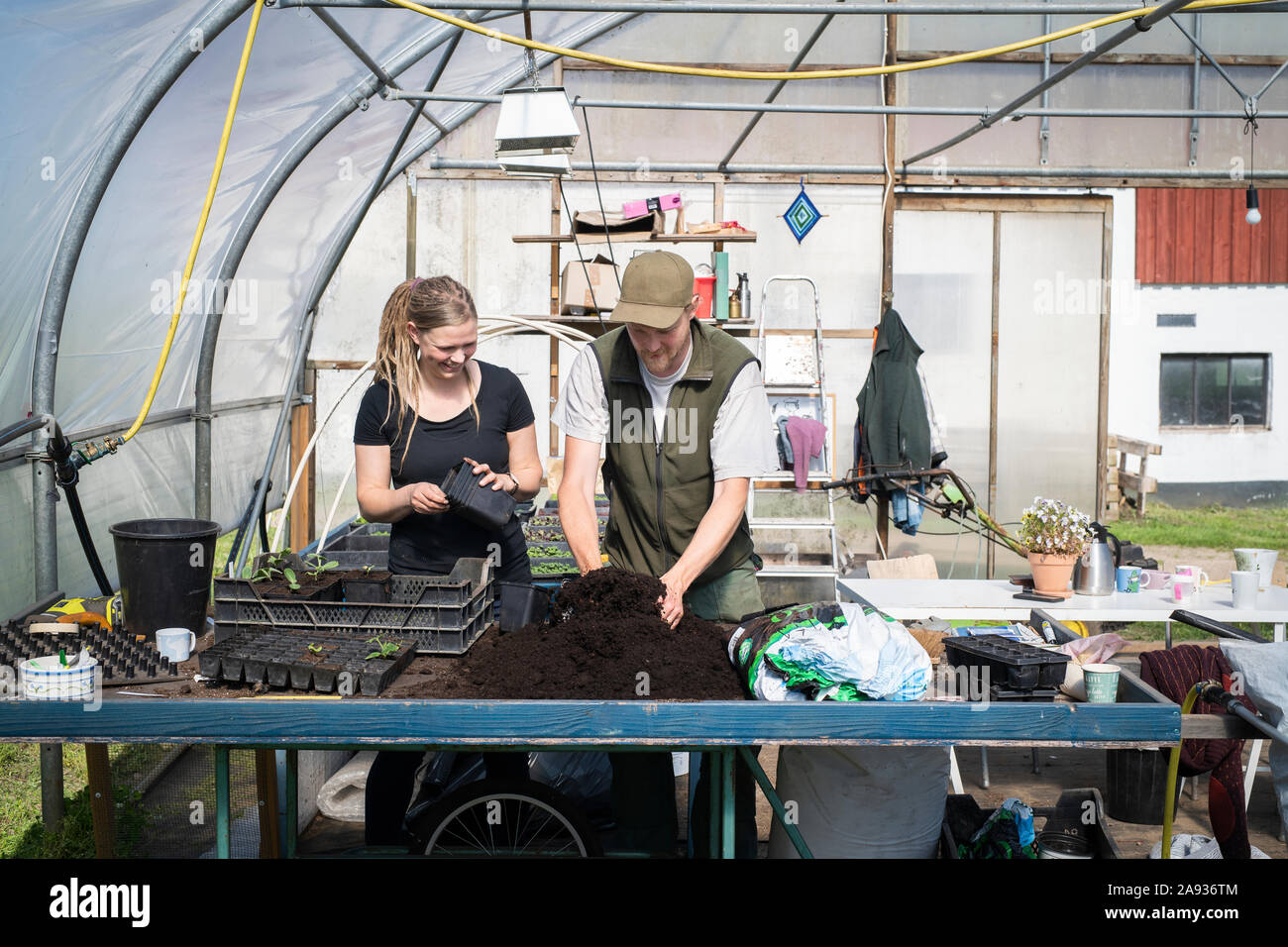 Man and woman in greenhouse Stock Photo