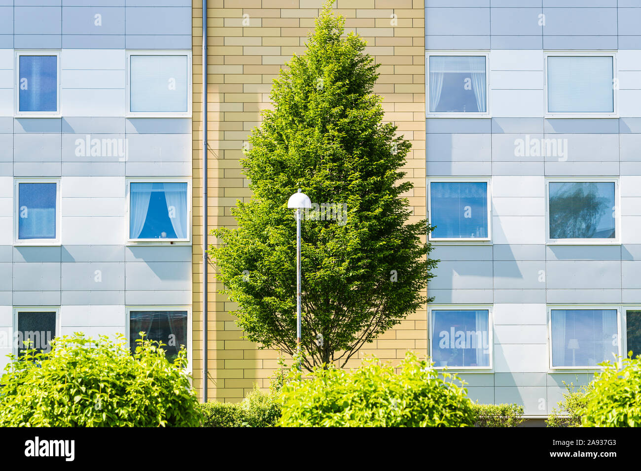 Tree in front of block of flats Stock Photo