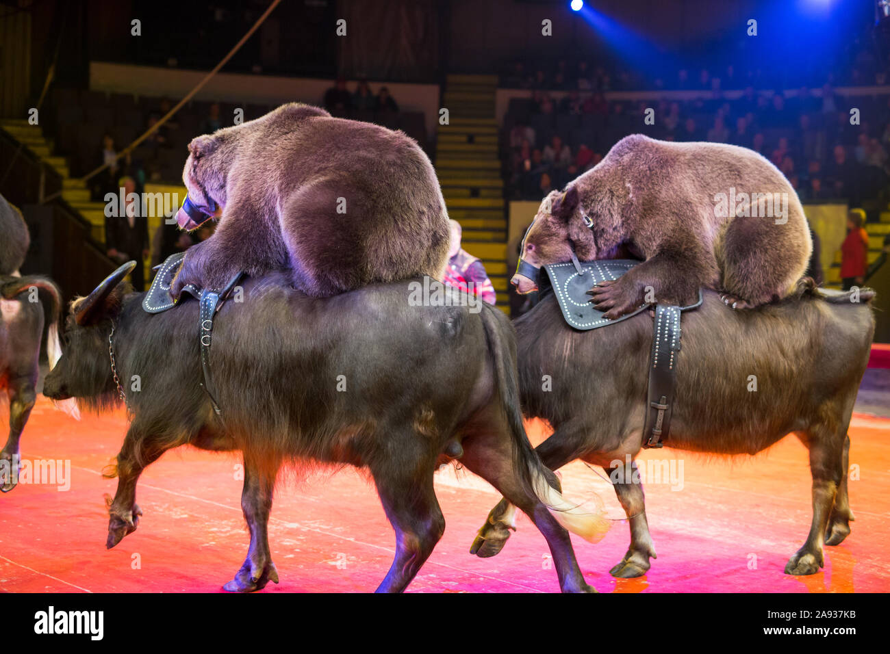 Circus performance hula hoop hires stock photography and images Alamy
