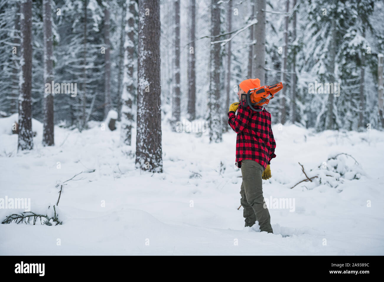 Lumberjack in forest Stock Photo