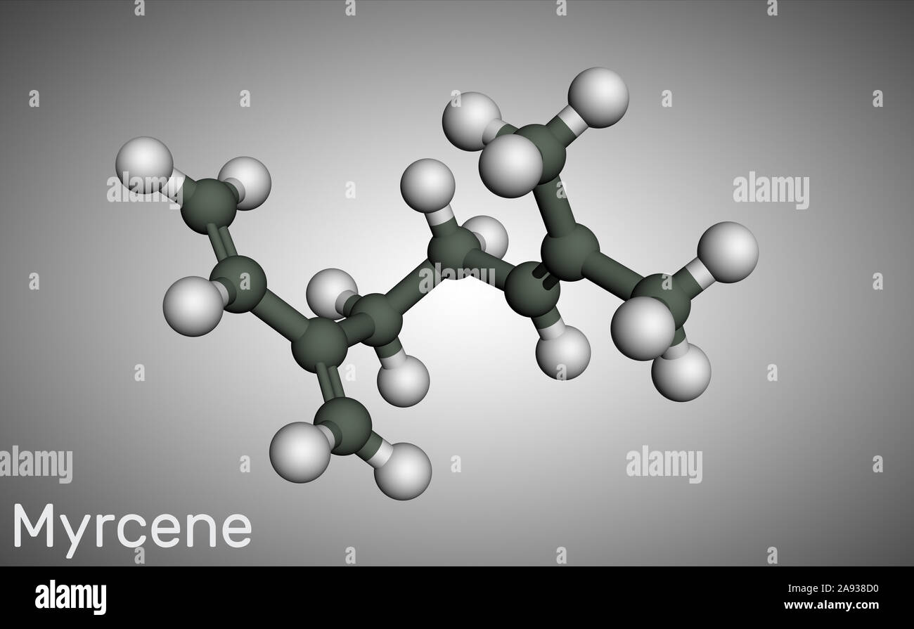 Myrcene, beta-myrcene molecule, is an olefinic natural organic hydrocarbon, monoterpene. Molecule model. 3D rendering Stock Photo