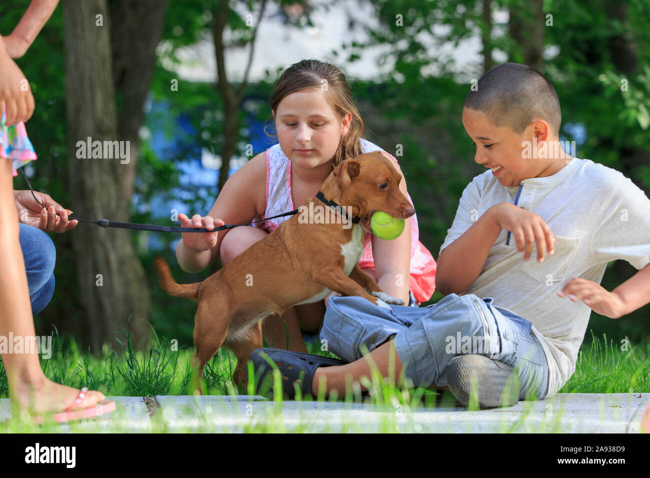Hispanic boy with Autism playing with his dog and family in park Stock Photo