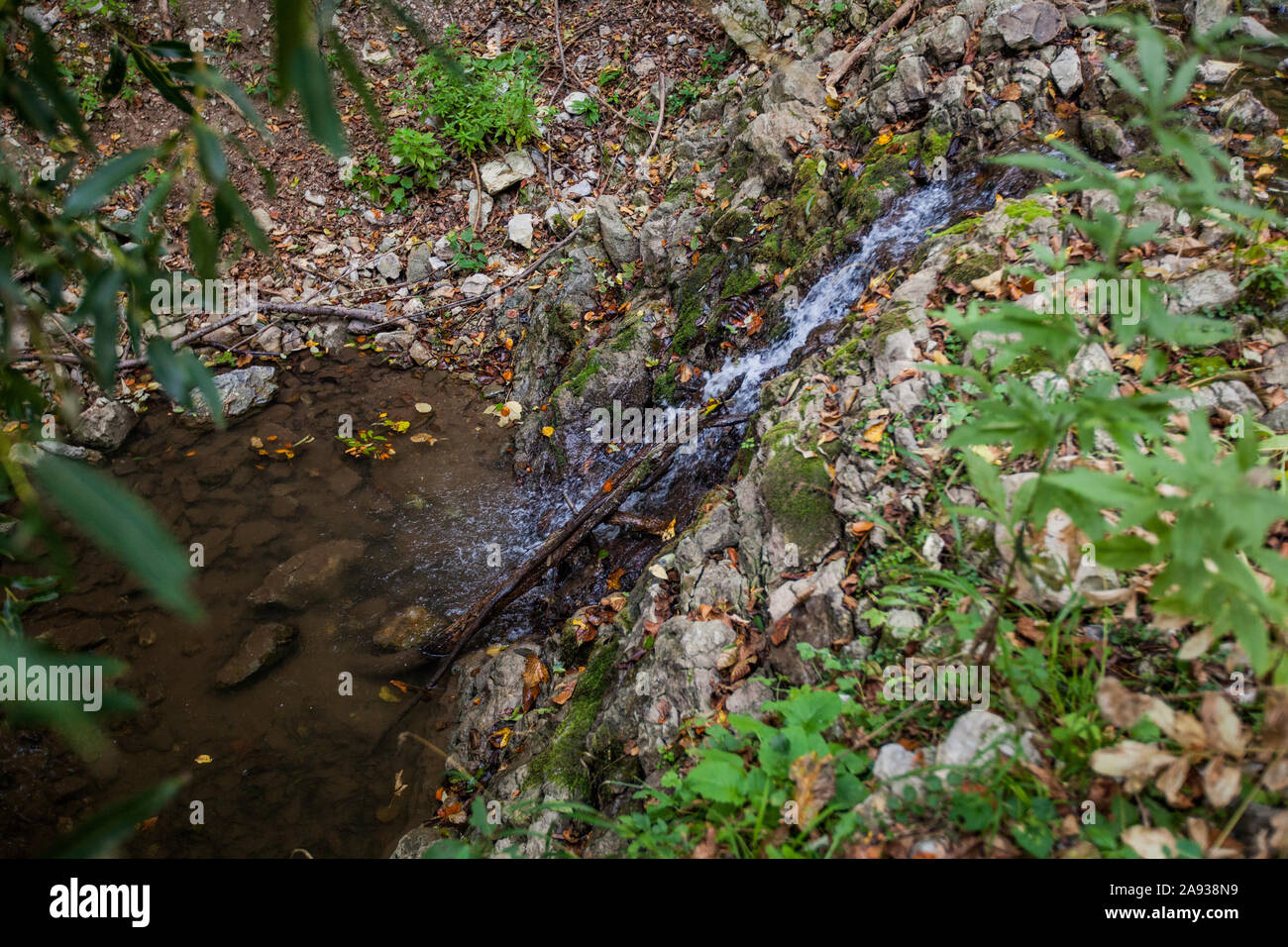Forest creek on autumn day. Stock Photo