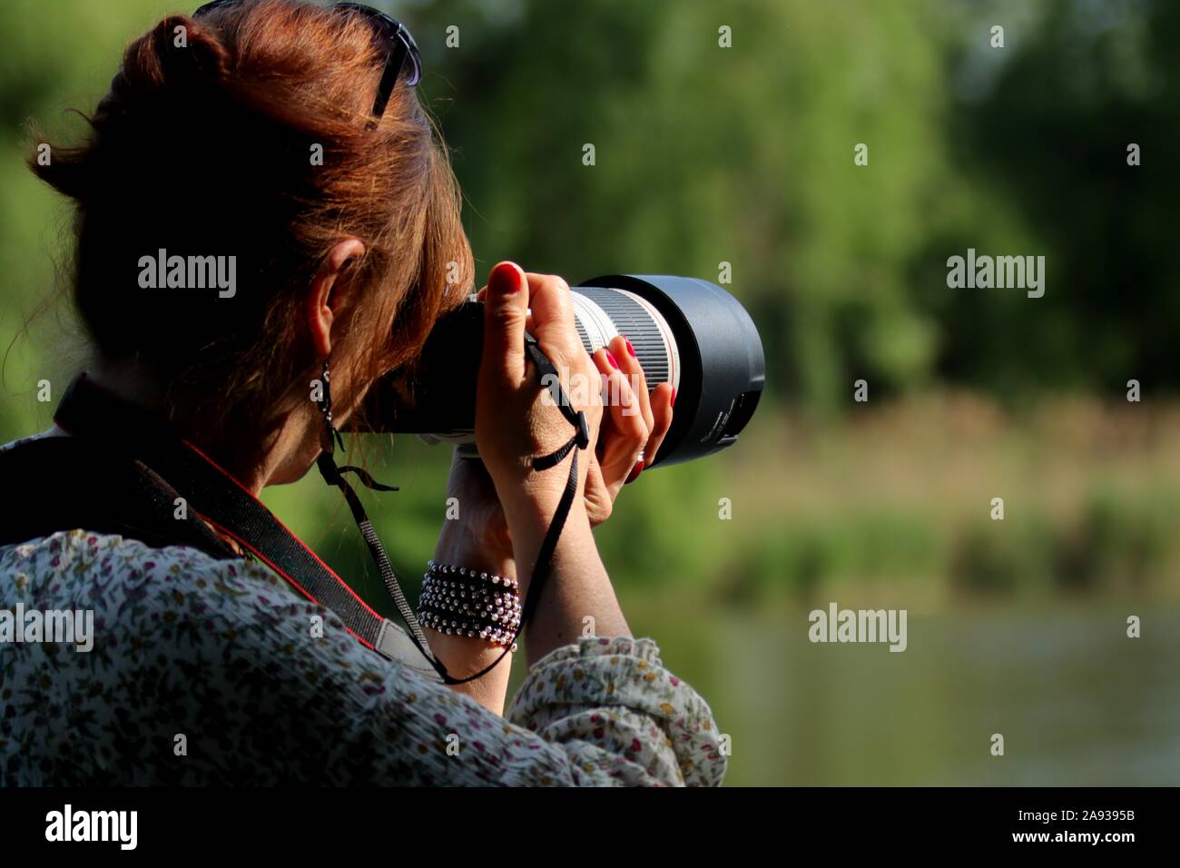 Wildlife photographer woman hi-res stock photography and images - Alamy
