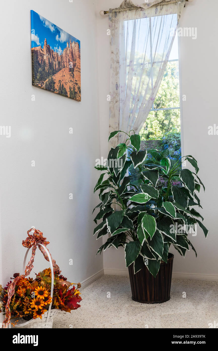 greenery within homes Stock Photo Alamy