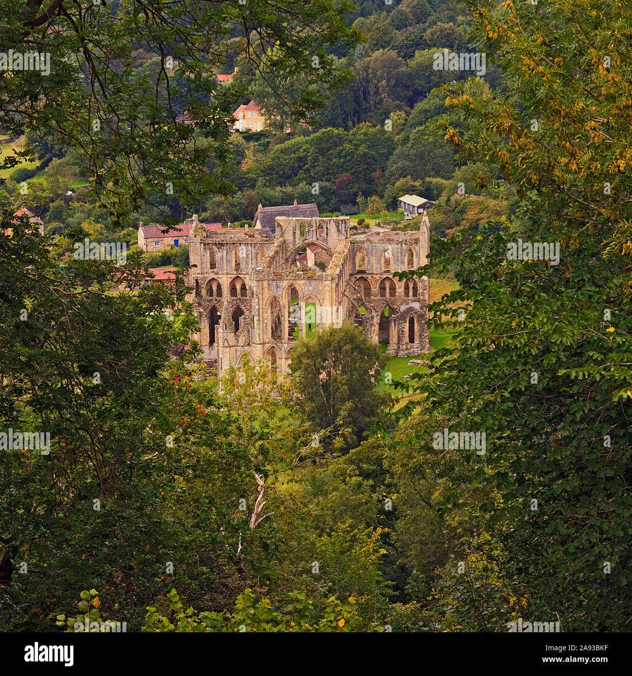 Rievaulx Abbey viewed from Rievaulx Terrace, Ryedale, North Yorkshire Moors, UK Abbey Stock Photo
