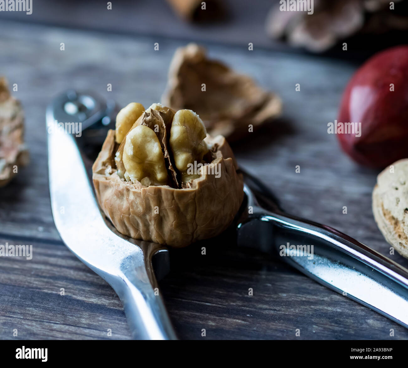 Walnut cracker hires stock photography and images Alamy