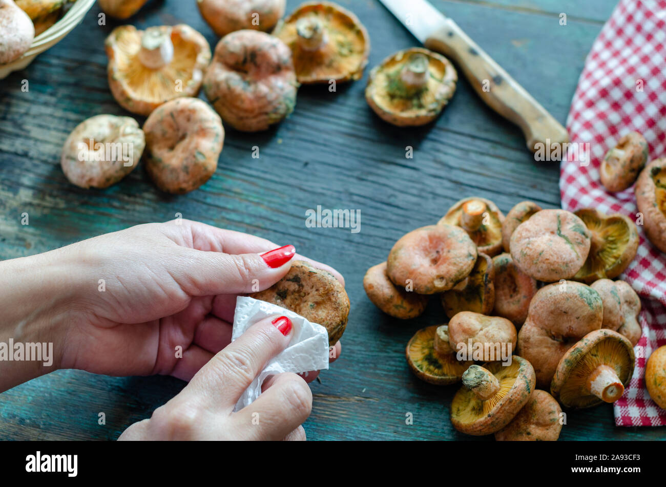The woman is cleaning mushrooms in the kitchen. Stock Photo