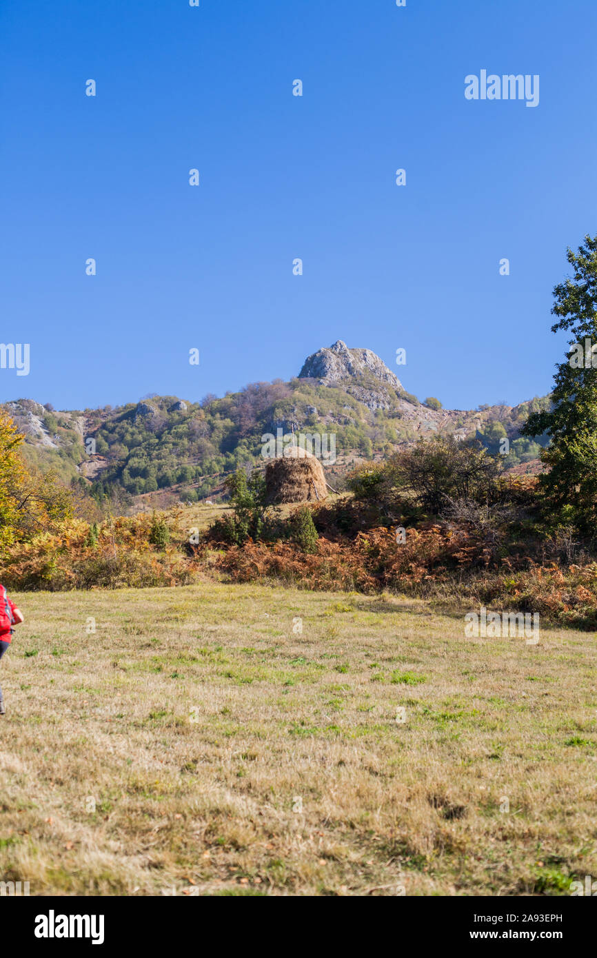 Beautiful nature landscape. Trees on the hill at sunny autumn day. Blue sky in the background. Amazing nature of Serbia. Stock Photo