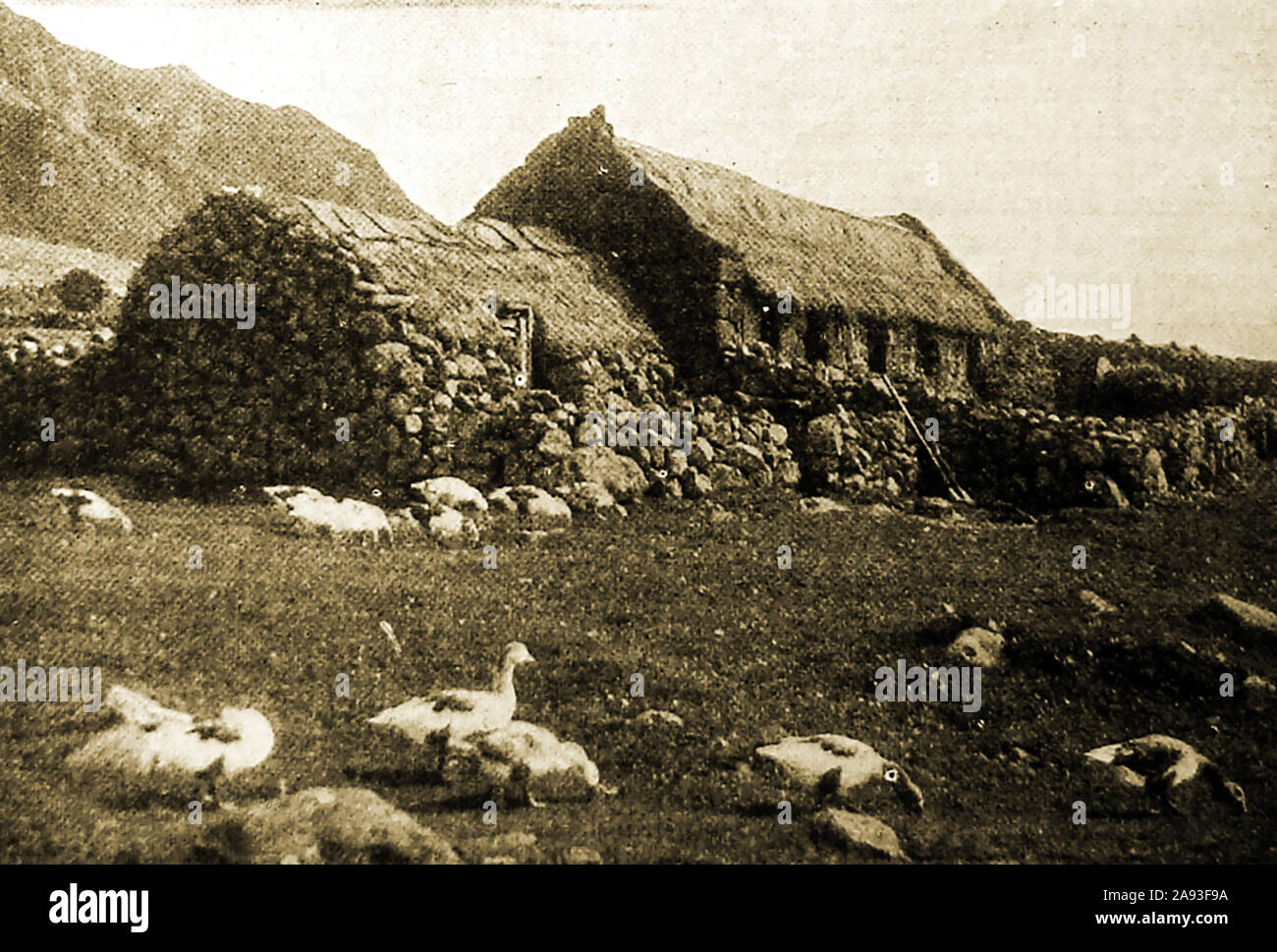 A typical dwelling on Tristan de Cunha in 1946. Stock Photo