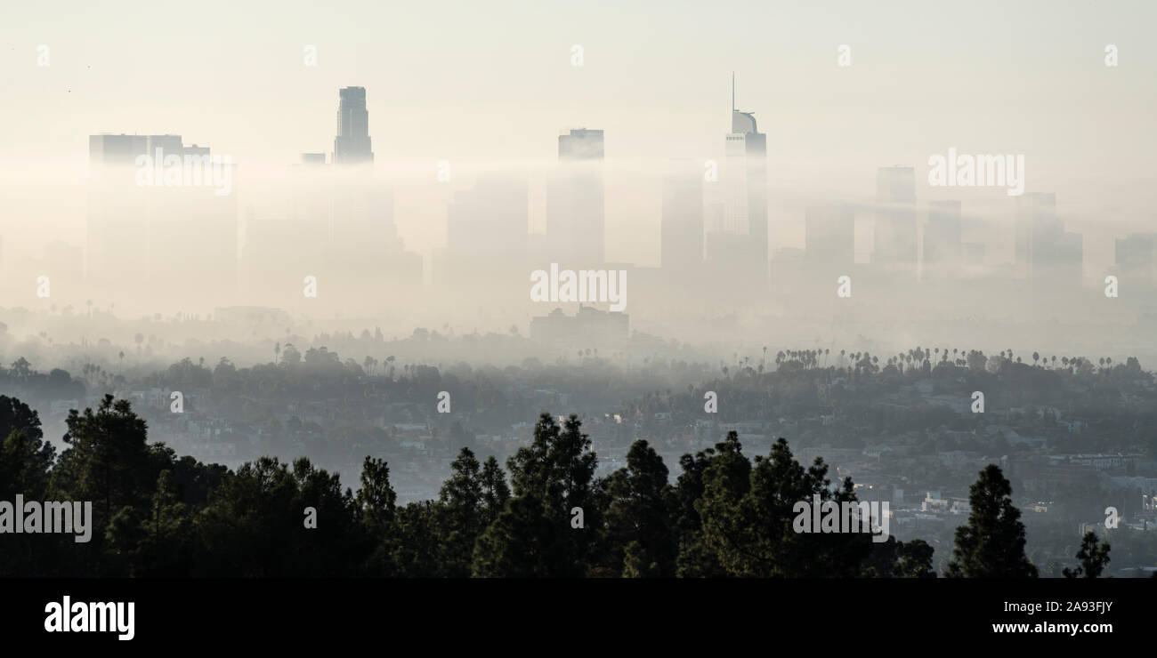 Panorama view of morning fog rolling through downtown Los Angeles ...