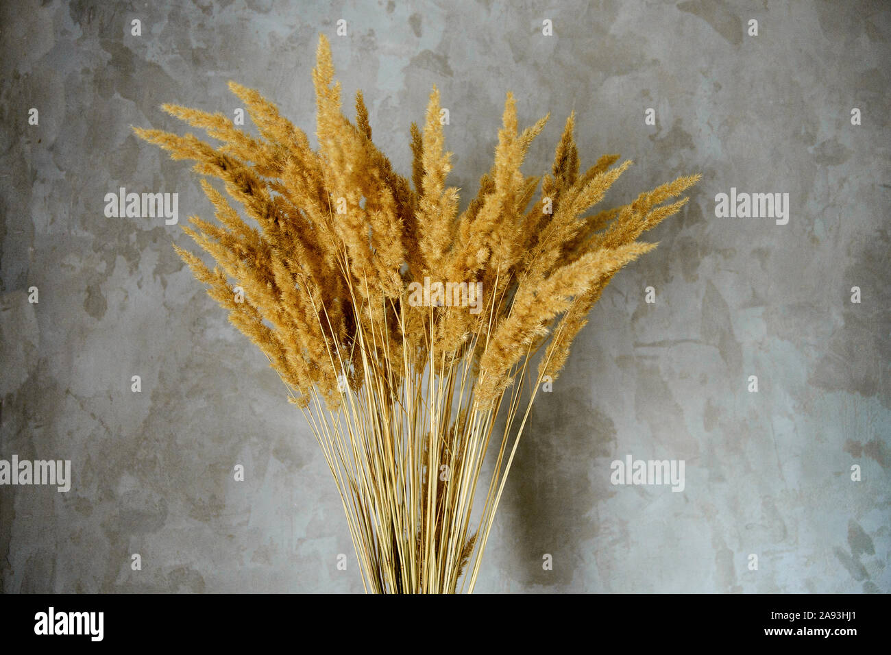 Dried Flower Vase Stands On A Wooden Table Near A Concrete Wall