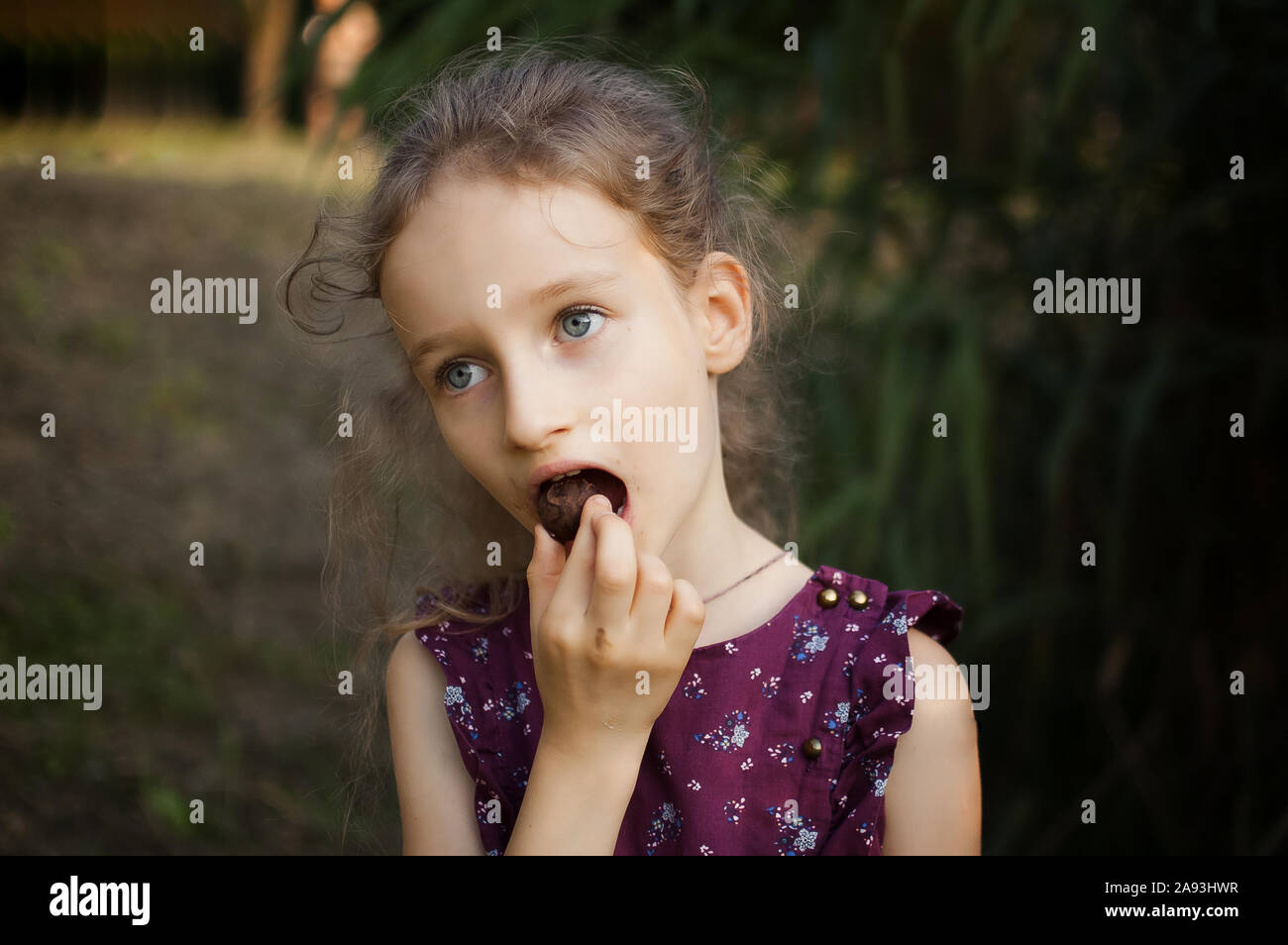 Cute little blond girl with ponytail and violet dress eating a chocolate candy in the park durring a day, unhealthy lifestyle concept Stock Photo