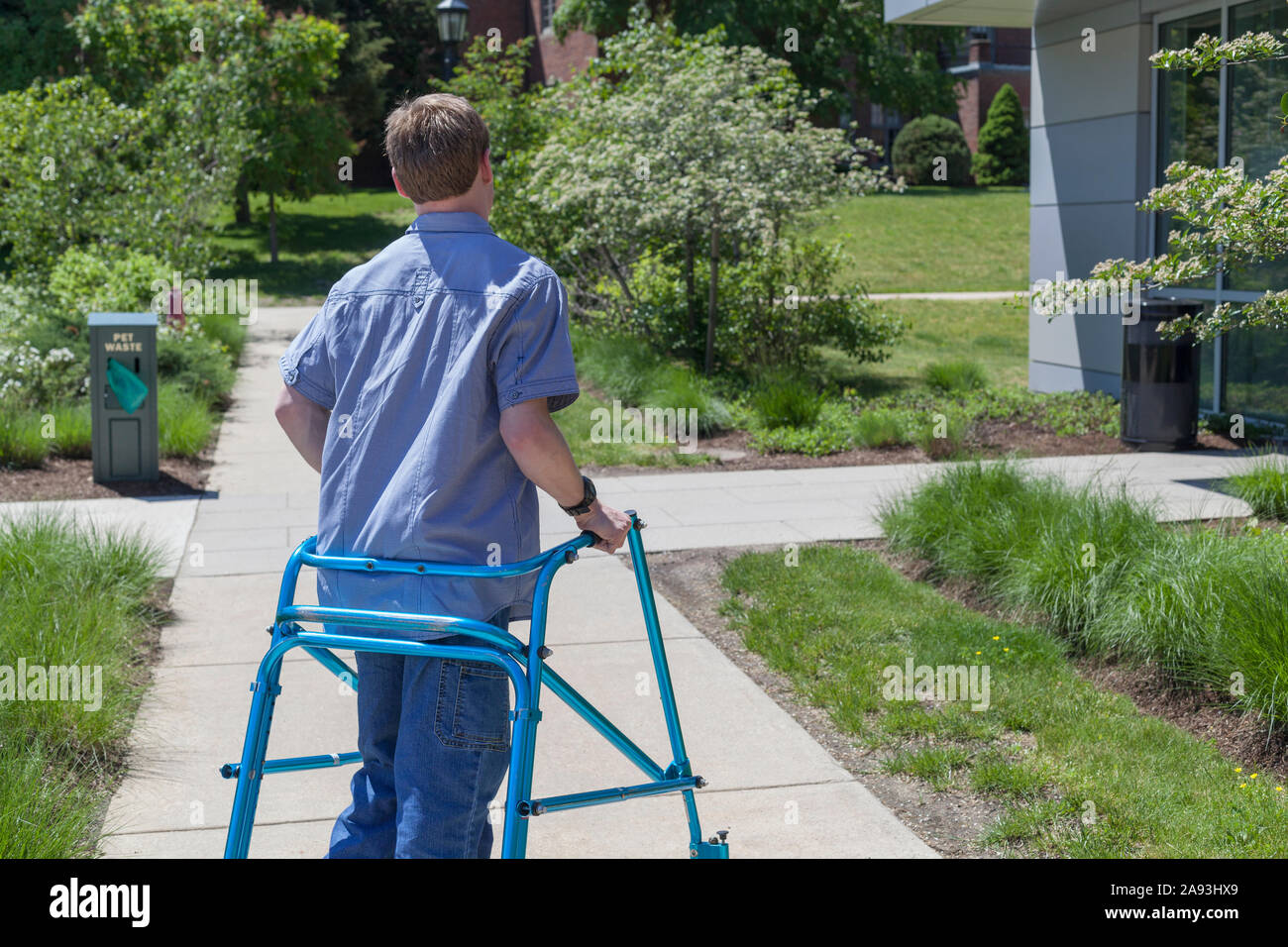 Young man with Cerebral Palsy using his walker to walk to work Stock