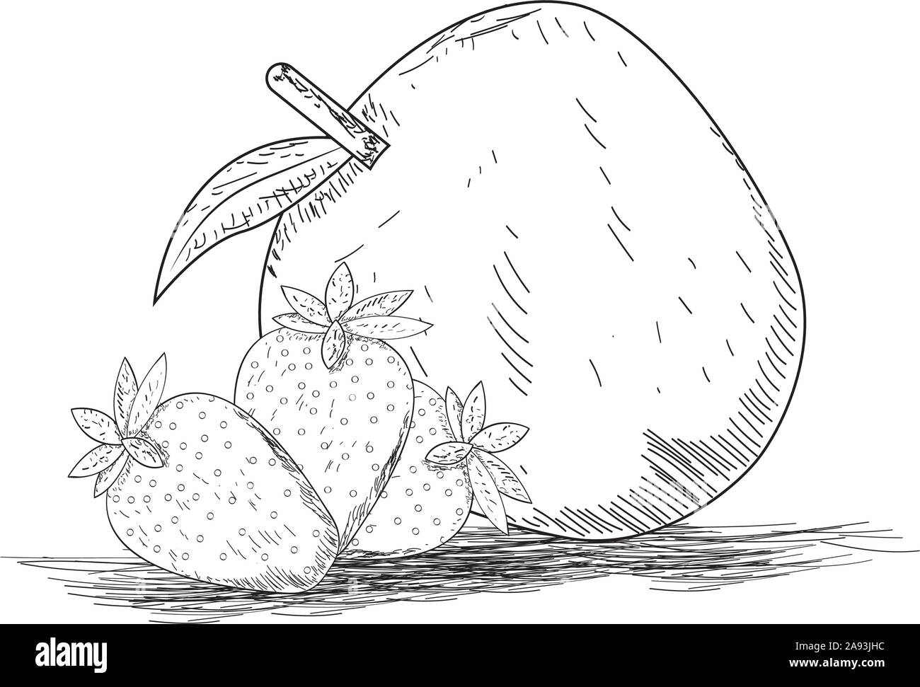 Sketch of an apple. Fruit sketch - Vector illustration Stock Vector | Adobe  Stock