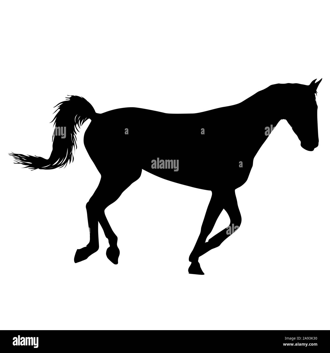 Animal silhouette of black mustang horse illustration. Stock Photo