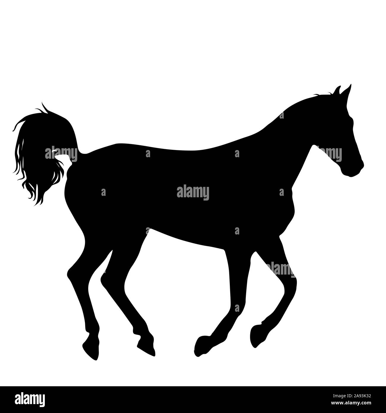 Horse Rearing Silhouette High Resolution Stock Photography and Images ...