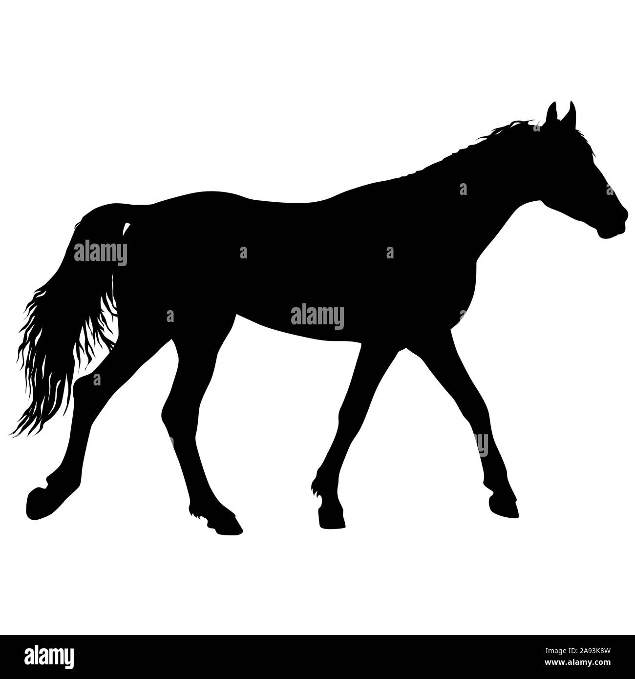 Animal silhouette of black mustang horse illustration. Stock Photo