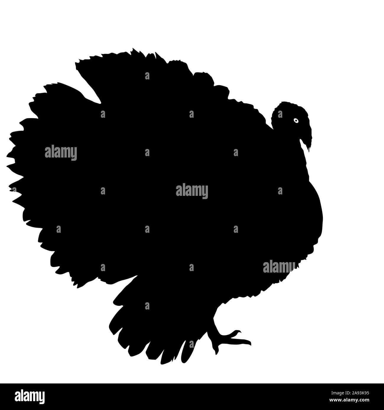 Silhouettes black of turkeys on a white background. Stock Photo