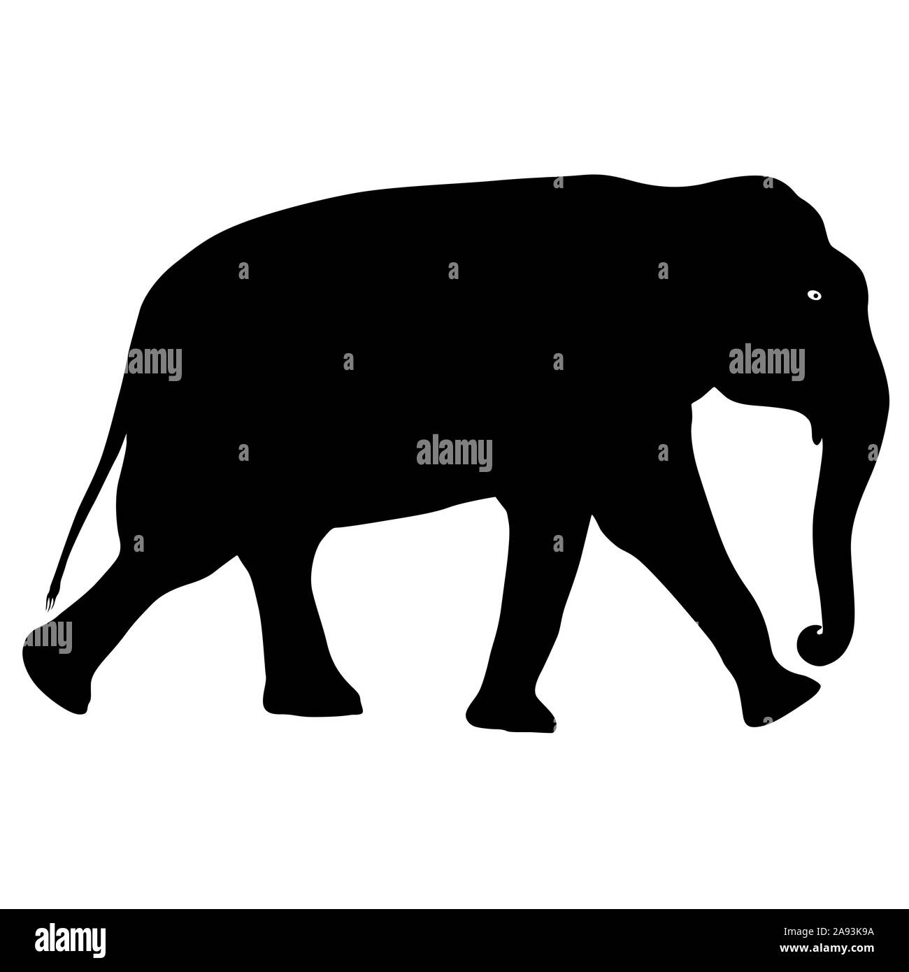 Elephant silhouette Black and White Stock Photos & Images - Alamy
