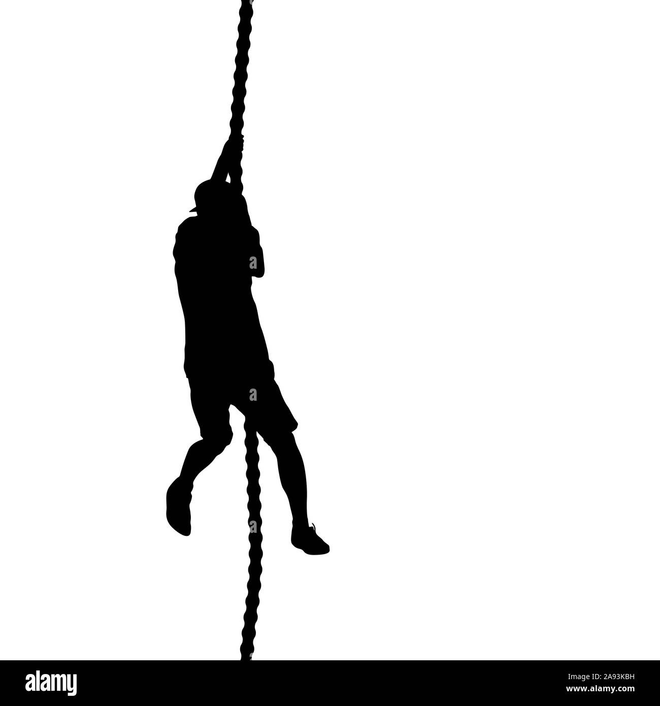 Ампельный кактус. Изображения висящее. Изображения висящее. Кроссовки на веревке. Подвеска для фотографий на стену.